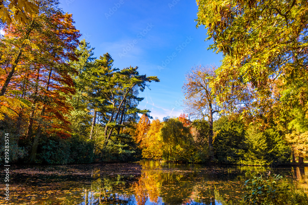 Obraz Cudowny krajobraz. Kolorowa jesień scena