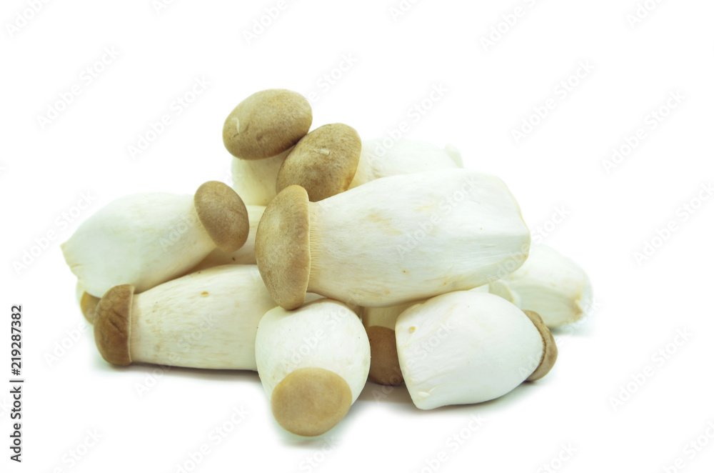 Organic baby king oyster mushrooms Organic baby king oyster mushrooms
