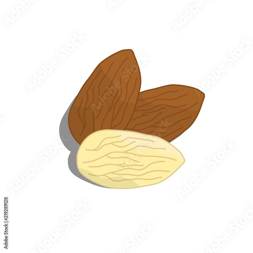 Almonds icon. Vector. 