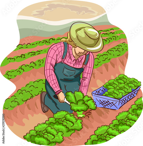 Girl Farmer Harvest Illustr...