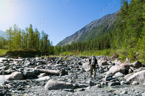 A man with a backpack on his shoulders walks the stones. A tourist walks along a mountain river in the Republic of Altai, Russia.
