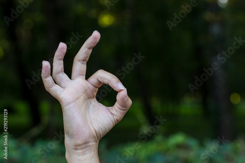 "okay" international sign by female hand and fingers on unfocused blurred natural background, copy space © Артём Князь