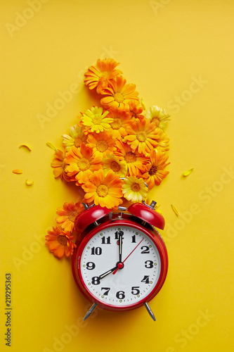 Red Vintage Alarm Clock And Marigold Blossom