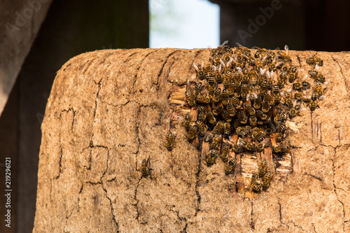 Traditionelle Bienenkörbe Einflugloch