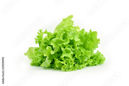 Gren leaf of salad