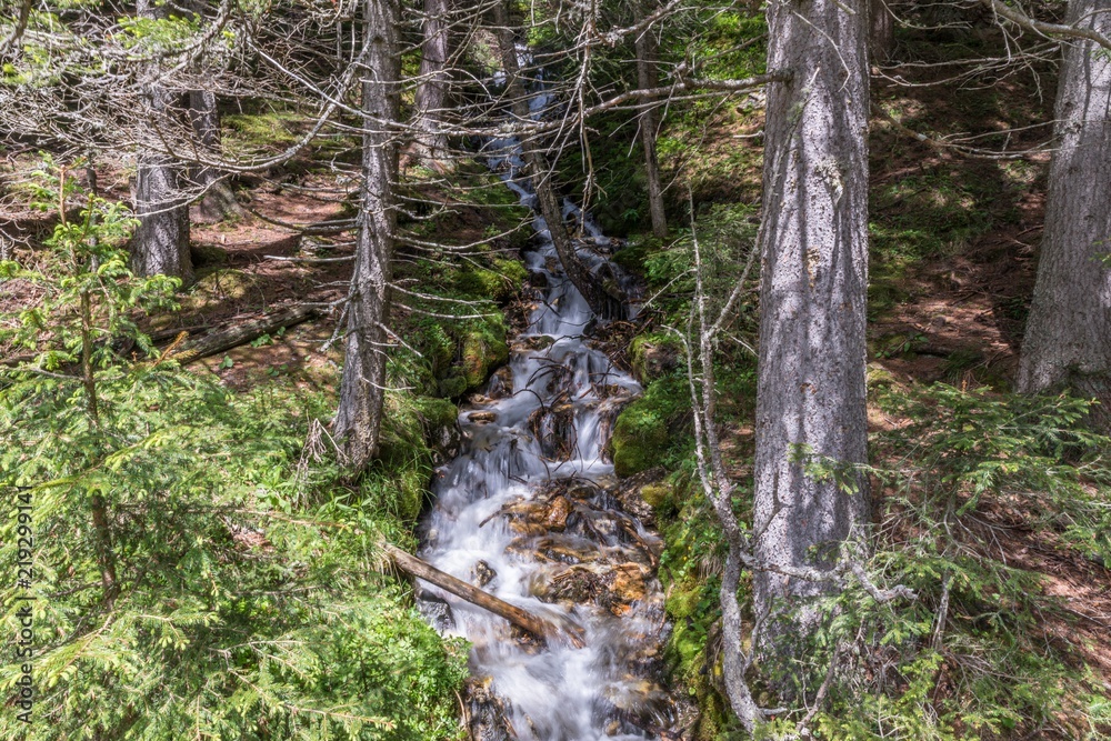 Fototapeta premium Wasserfall eines Gebirgsbaches im Naturpark Riedingtal Zedernhaus, Österreich