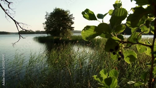 Shore of the lake with reeds and leaves in foreground