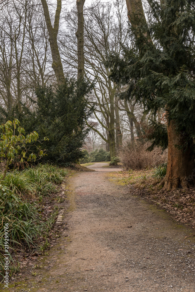 Path in park