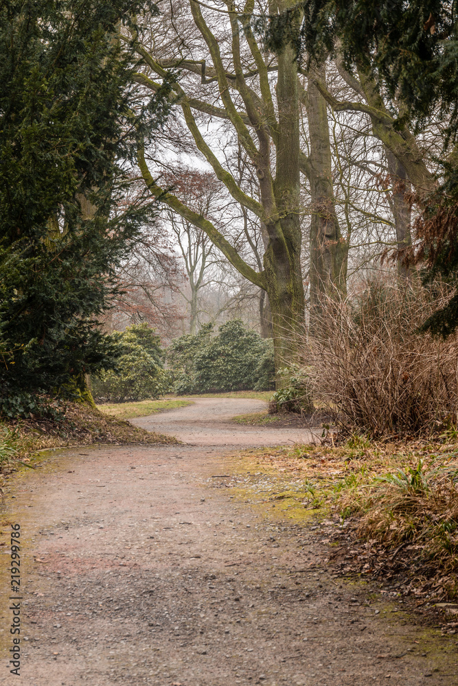Naklejka premium Path in park
