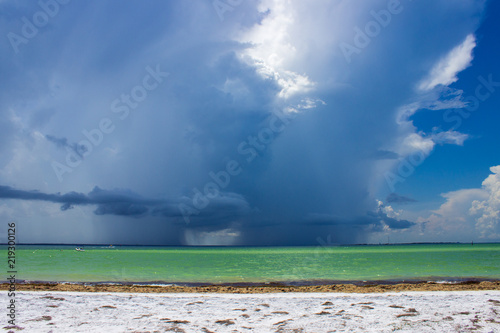 Seascape on Tampa Bay photo