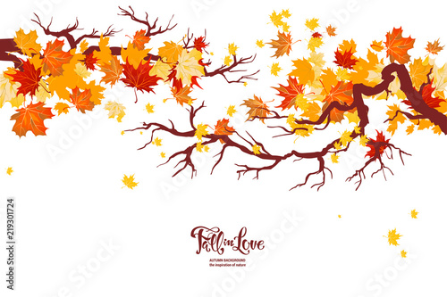 Autumn nature branch