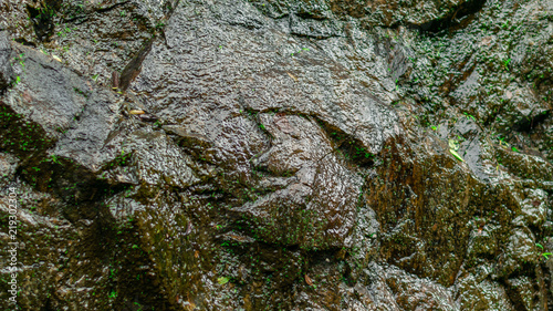 Image Of pattern art on wet stone in raining season © Ashok Soyanke