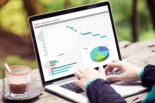 Woman working with excel project dashboard on laptop / computer at the park / outdoor
