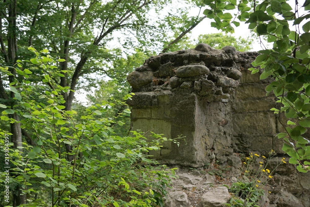 Ruine Hohenfels bei Sipplingen