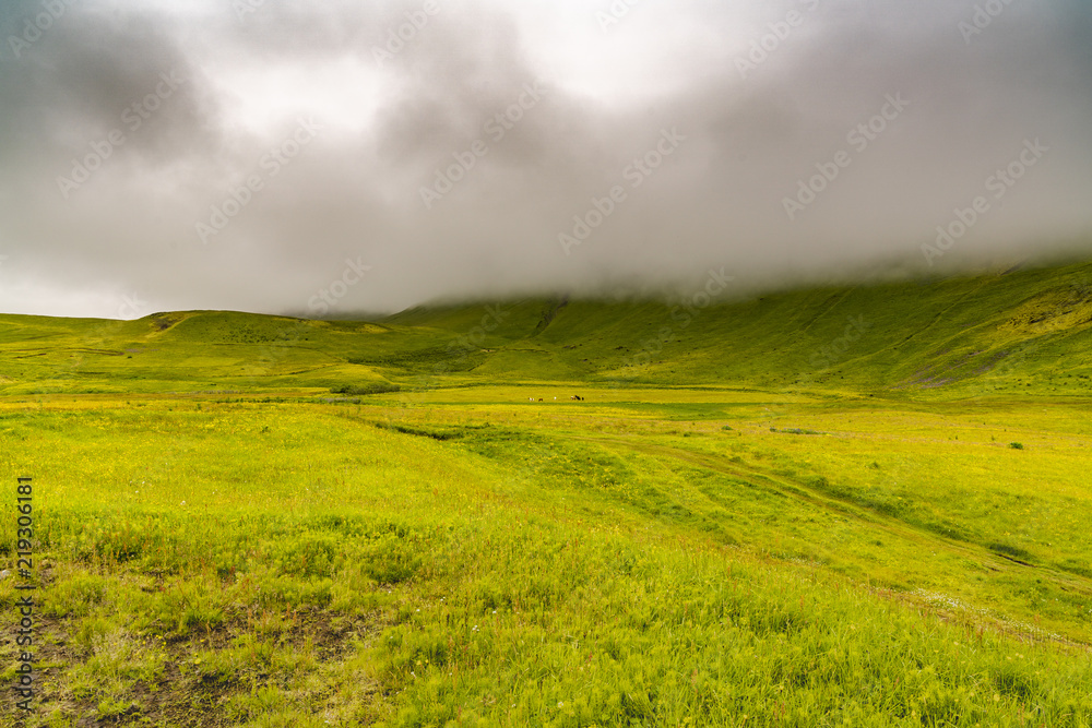 Fototapeta premium Iceland
