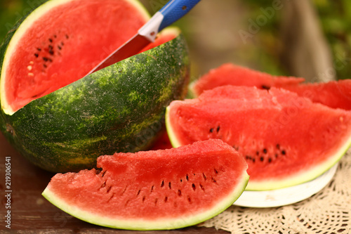 cut ripe big water melon still life with knife on green garden background photo