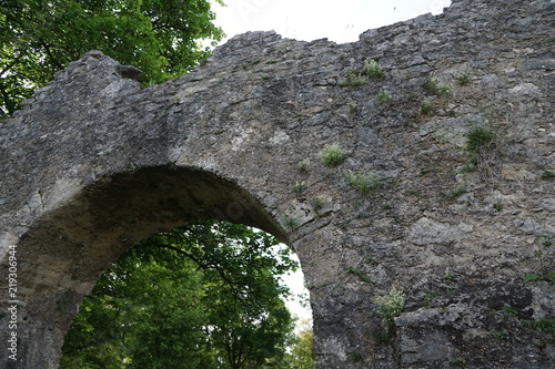 Burg Ruine Honburg in Tuttlingen im Sommer  photo