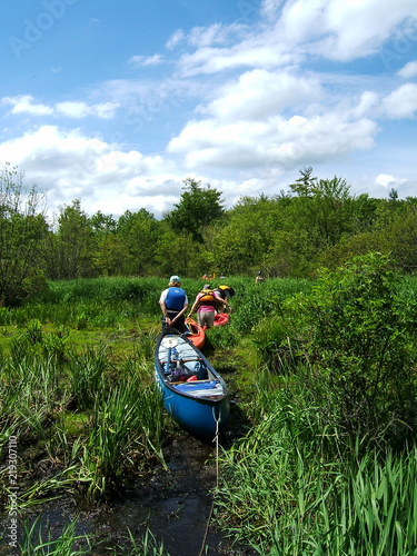 canoe portage across grassy field photo