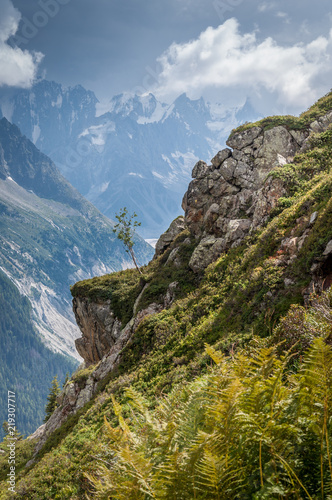 Alpages de la vallée de Chamonix