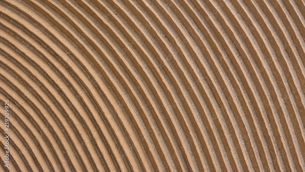 Fototapeta premium Tierra y ondas