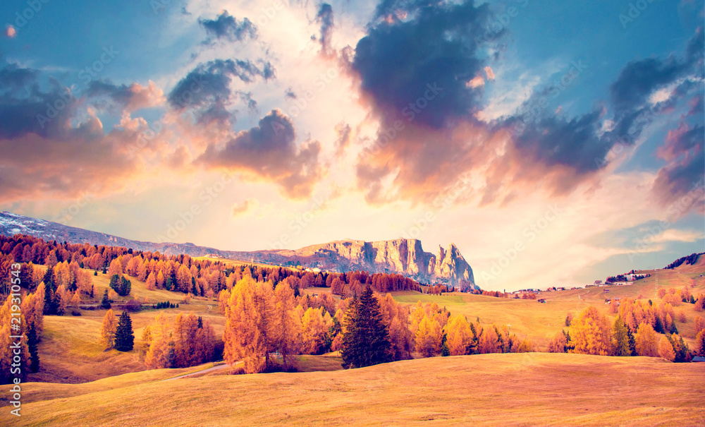 Mystic  autumn landscape with yellow larch in Alpe di Siusi in the Dolomites. The Italian Alps. Meditation, rest, calm, anti-stress, relaxation - concept)