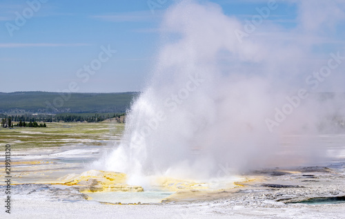 Geyser in Yellowstone National Park