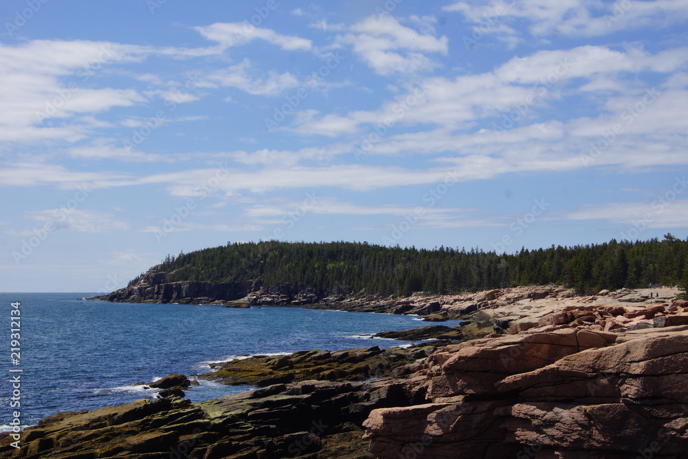 Coast at Otter Point in Acadia National Park