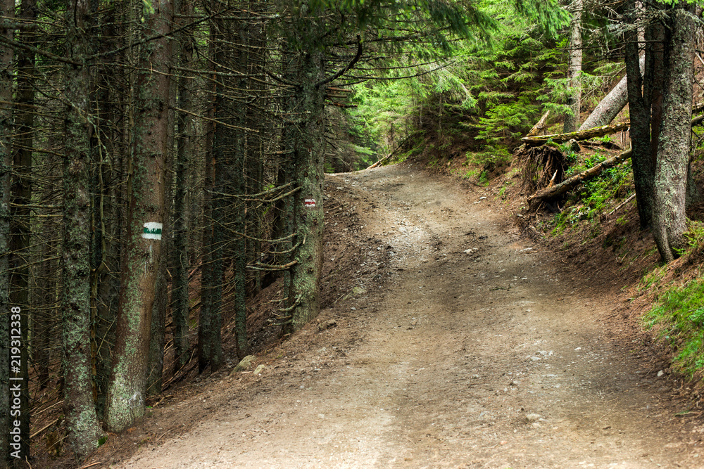 Fototapeta premium hiking mountain route