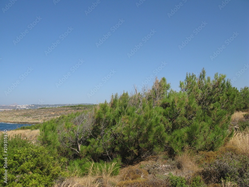 l'île de la Crète