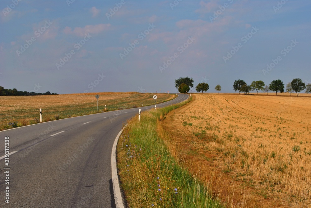 Fototapeta premium Przed siebie