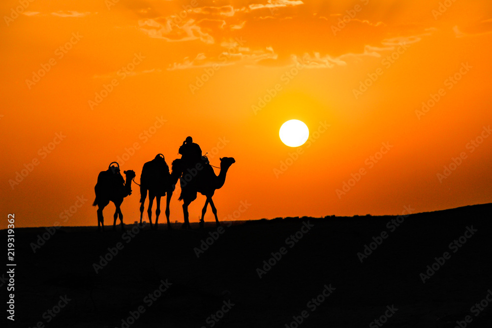 sahara sunset