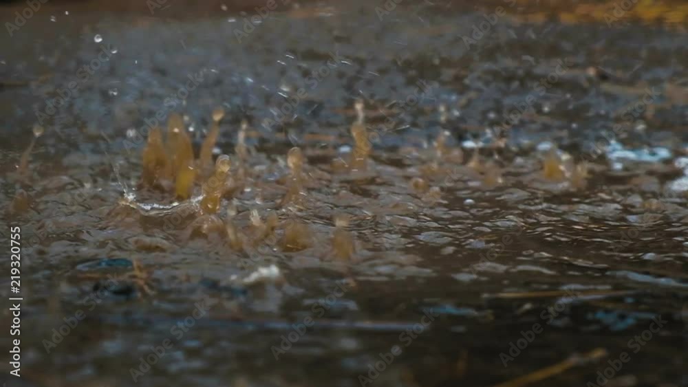 Rain drops are dripping in a puddle, spray close-up.. Heavy rain, slow motion Rain drops are dripping in a puddle, spray close-up.. Heavy rain, slow motion