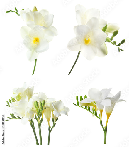 Fototapeta Naklejka Na Ścianę i Meble -  Set with Freesia flowers on white background