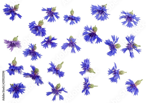 Flowers of cornflowers isolated on white