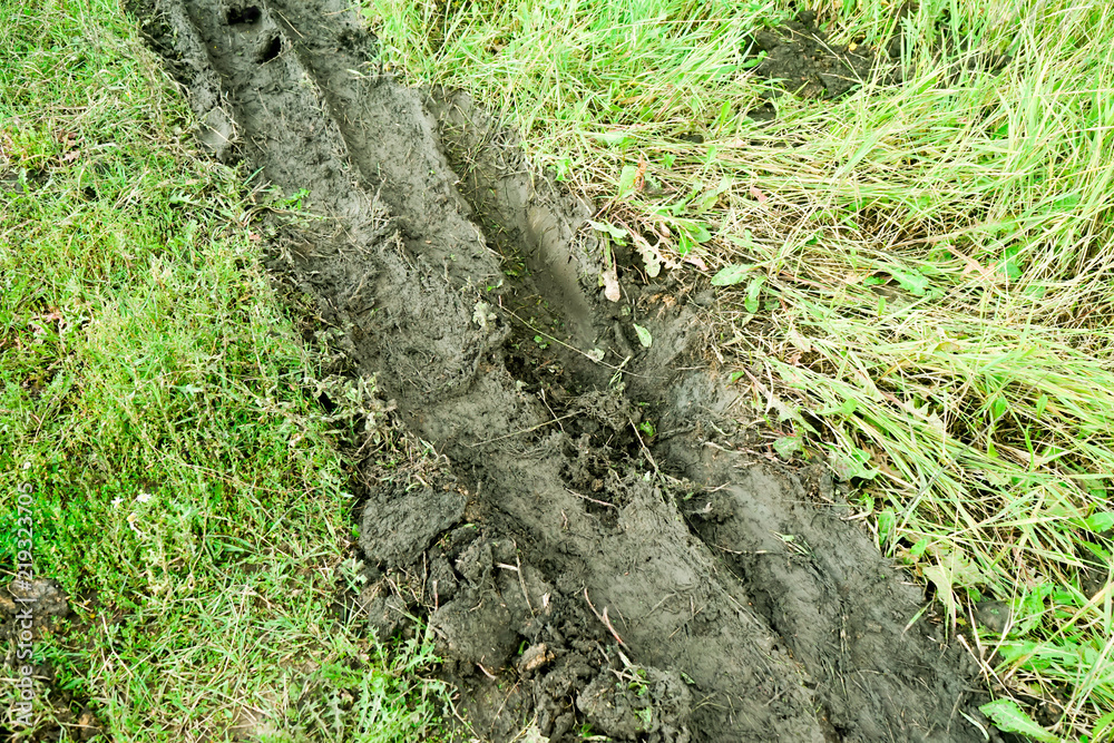 Field of green grass after rain with truck tire tracks in mud. Off-road. Field of green grass after rain with truck tire tracks in mud. Off-road.