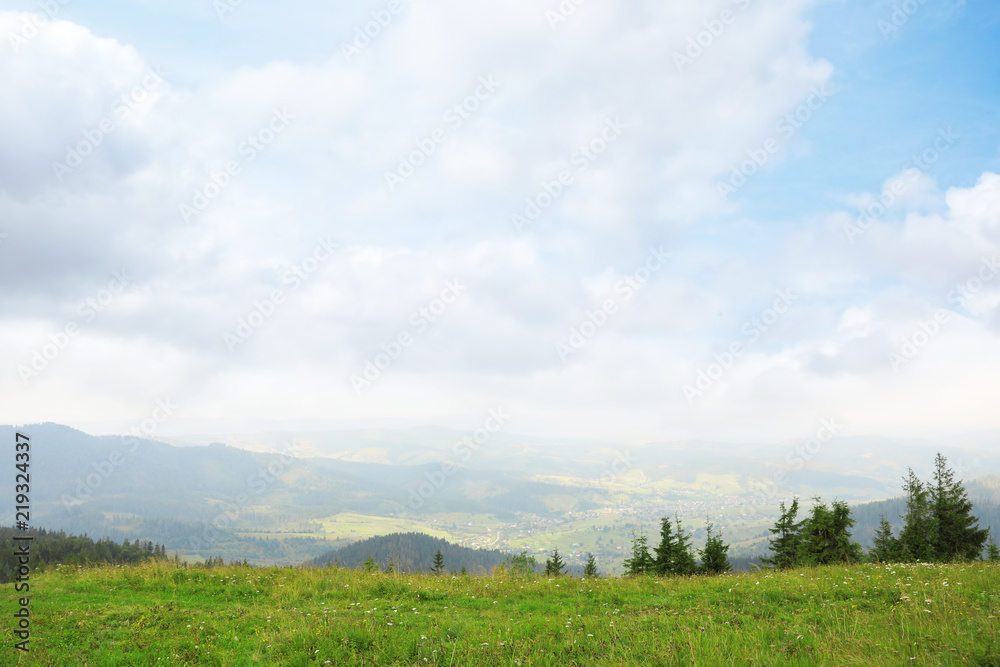 Picturesque landscape with mountain meadow and forest