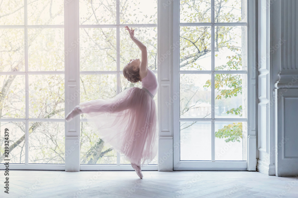 Young classical ballet dancer girl in dance class. Beautiful graceful  ballerine practice ballet positions in pink tutu skirt near large window in  white light hall Stock Photo | Adobe Stock