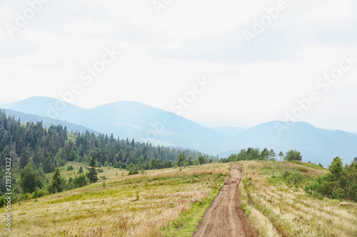 Picturesque landscape with pathway in mountains