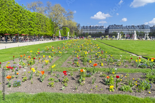 Lawn with flowers in the garden of the Tuileries. Paris, France.