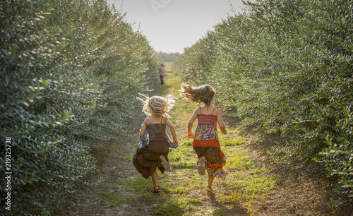 Girls running to greet dad in Olive Orchard