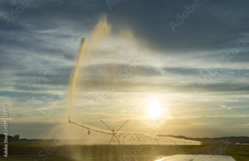 Watering the corn during the dry summer months