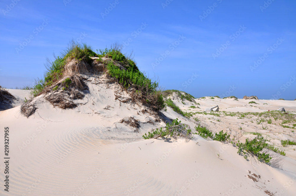 Sand Dune in Cape Hatteras National Seashore, on Hatteras Island, North Carolina, USA. Sand Dune in Cape Hatteras National Seashore, on Hatteras Island, North Carolina, USA.