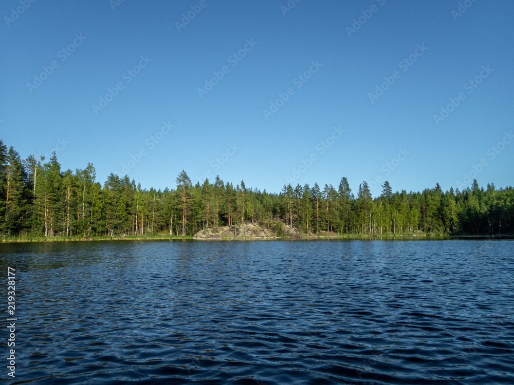 View of the wild forest on the shores of the Saimaa lake in the Kolovesi National Park in Finland - 1