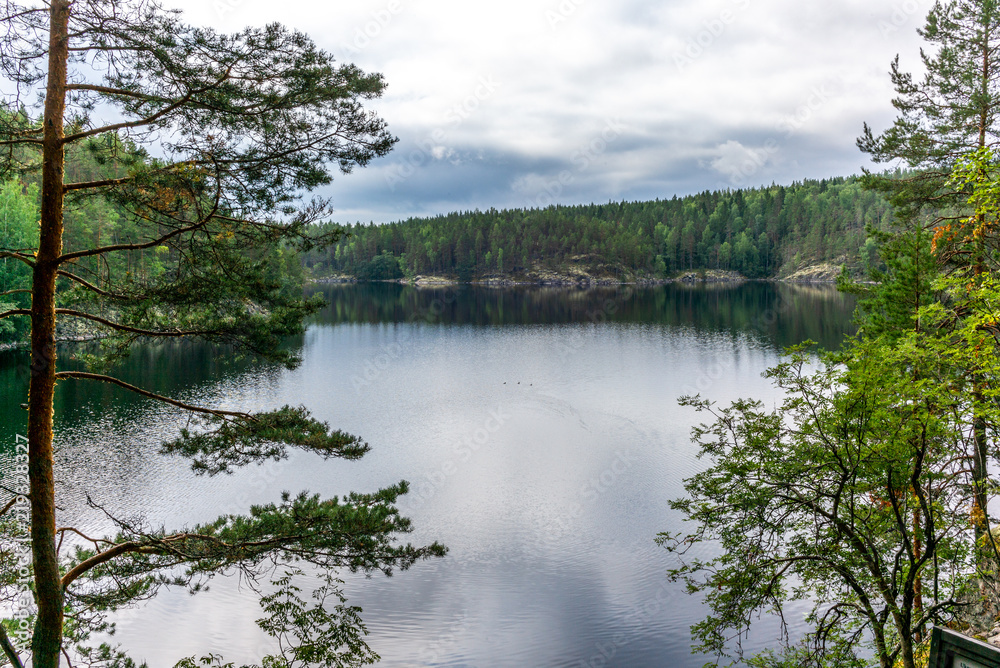 The quiet wild forest on the shore of the Saimaa lake in the Kolovesi National Park in Finland - 21