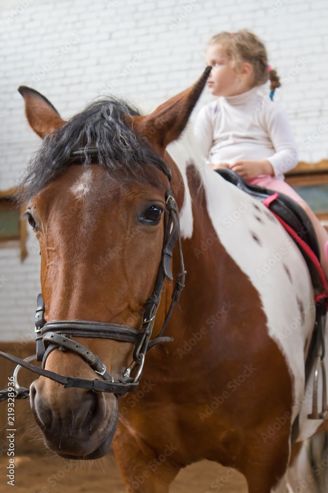 horseback riding. the little girl is riding a horse in a pen.