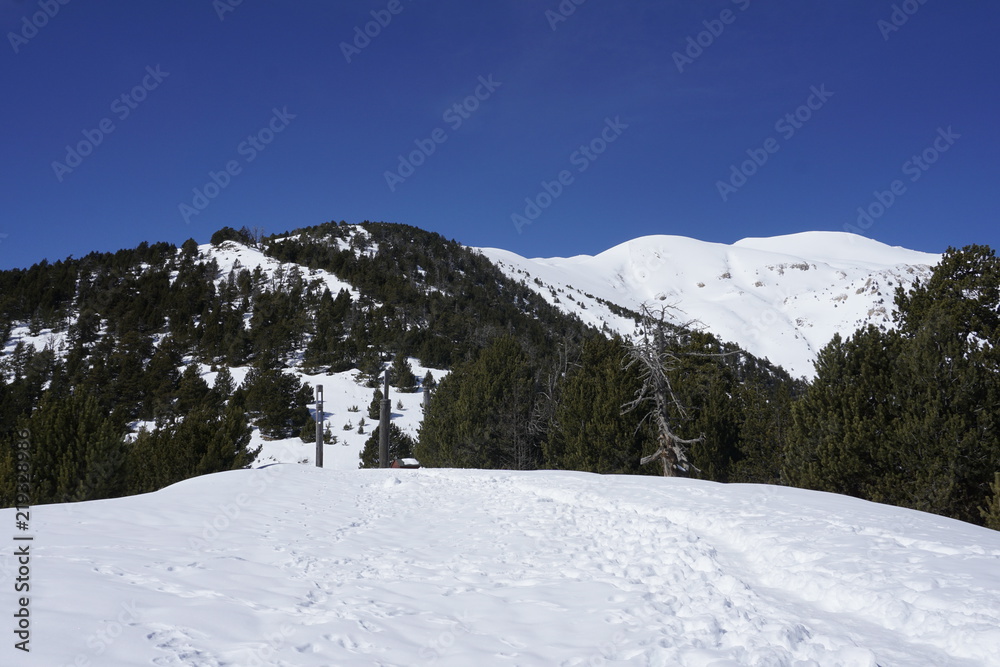 Paisaje de montaña nevado