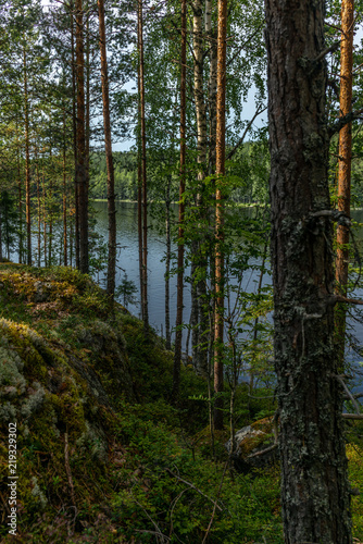 The Saimaa lake in the Kolovesi National Park in Finland  seen through the trees on its shores - 3 © gdefilip