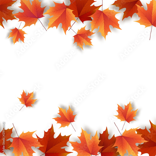 Autumn leaves. Bright colourful autumn oak leaves. Template for 