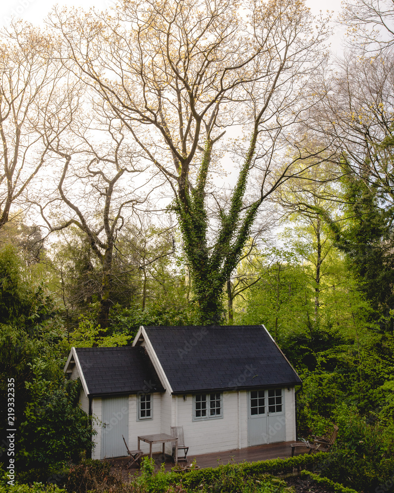 Cabin in a forest at sunrise Cabin in a forest at sunrise