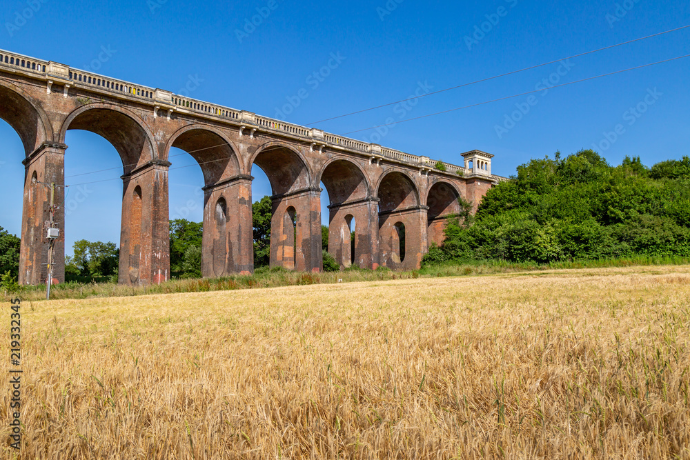 Obraz premium Crops growing in fields around the Ouse Valley Viaduct, in Sussex